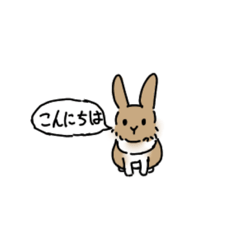 suzu_20221219204756