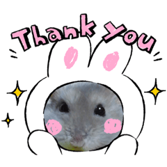 hikari_20221219210013