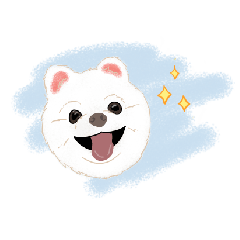 Qube the adorable Pomeranian