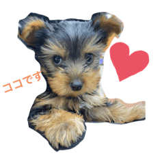 arisa_20221219215202