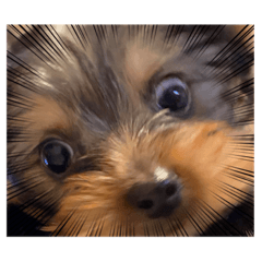 arisa_20221219225643