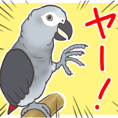 Grey Parrot Leo's Wordbook Sticker 3