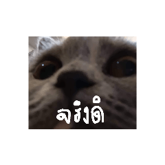 bb_20221220111458