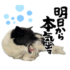 peco_20221220112430