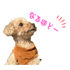 monaka_daily