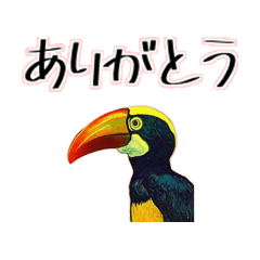 Toucan greeting sticker