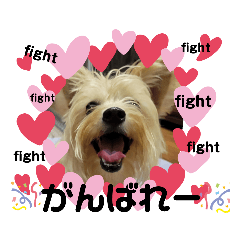 smile_20221220131656