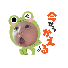 momoko_20221220155101