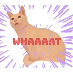 My little sweetie pies