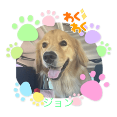 yuka_20221220164738
