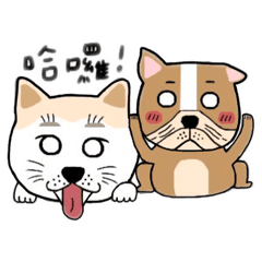 葵花與阿法的日常