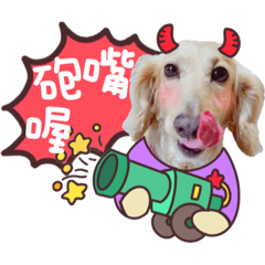 可愛の臘腸狗豆豆