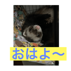 yukari_20221222085625