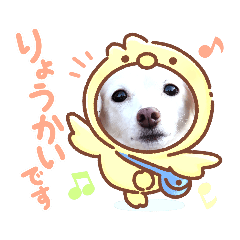 Hana_20221222074209