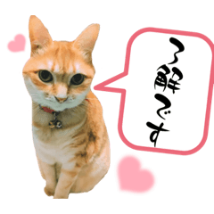 ニャッキースタンプ