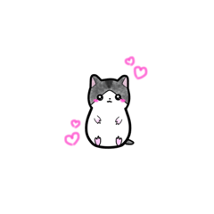 Mizuki_20221221213625