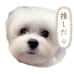 Nozomi_20221221164756