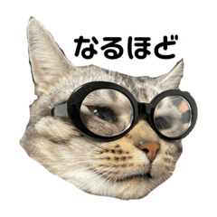 arisa_20221222012710