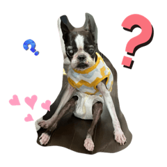 sayuri_20221221200025