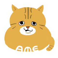 Amechan is amber cat.