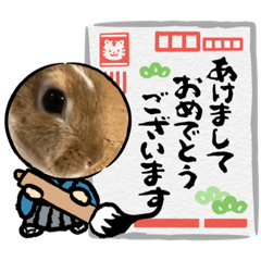 suzu_20221221071841