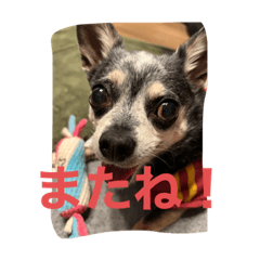 れおくんです♡