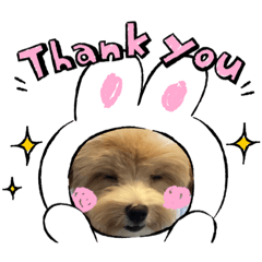 mizuki_20221221182012