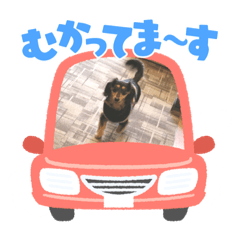 yuka_20221221223020