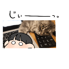 suzu_20221221213716