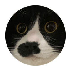 omochi_20221221232629