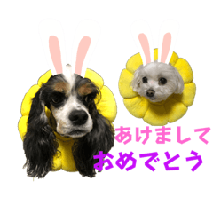 aoi_20221222105645