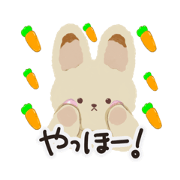 napopopopo_20221221230030