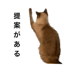 nyanko_20221222134621