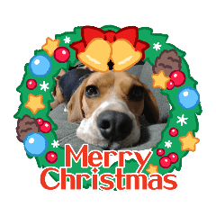 himetama_20221222135609