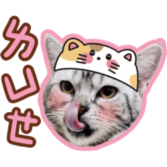 嚕米米娜貼圖