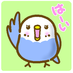 [revised] Everyday! Chubby Blue Budgie