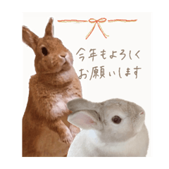 rina_20221222152940