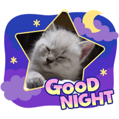 Smile_20221222174909