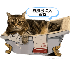 Kuutarou stamp