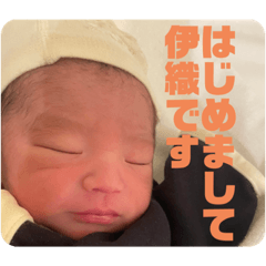 momoko_20221222202403