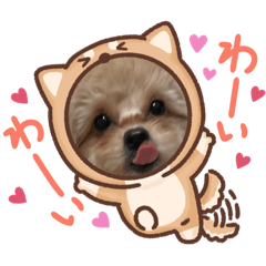 YUKA_20221222180649