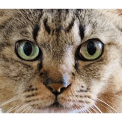 aoi_20221223003210
