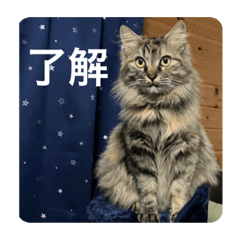 omochi_20221222201457