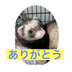 yukari_20221223110658