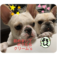 CREAM_20221223100106