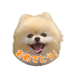 Yuto_20221222230042