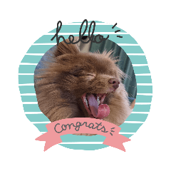 chisa_20221223103803