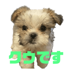 Tom_20221223113902