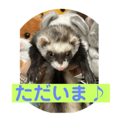 yukari_20221223153712