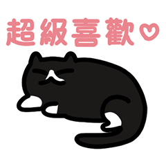 Miao Miao Black Cat Daily - Chinese